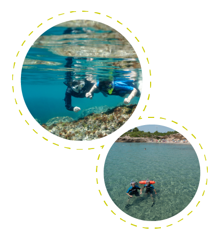 filosofia-01 Plàncton divulgació i serveis marins