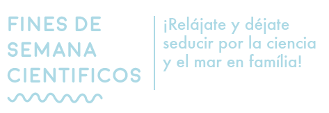 findes-01