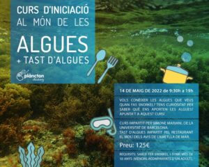 Curs d’Iniciació al món de les Algues detall